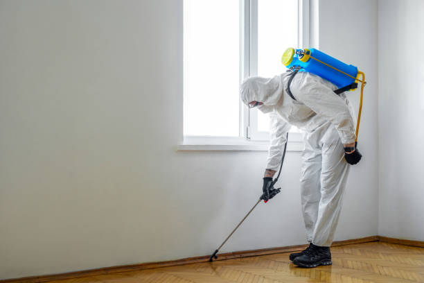 Best Pest Prevention Services  in Montrose Ghent, OH